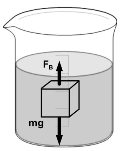 A cube in a beaker of water with F_B up and mg down