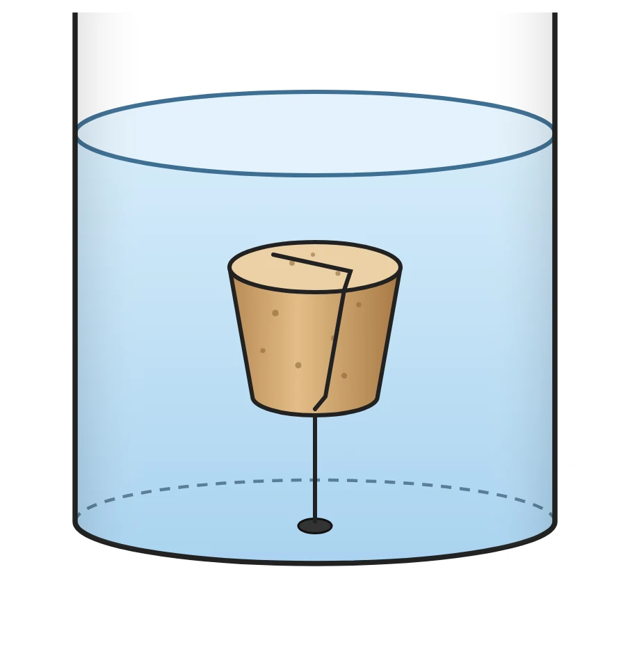 A cork tied by a string to the bottom of a water-filled container
