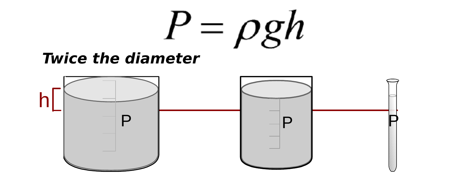 Containers of different widths filled to the same depth h have the same pressure P at the bottom
