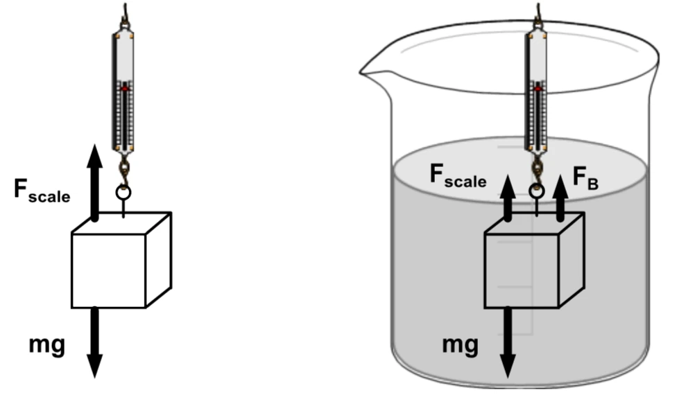 A block on a spring scale in air and submerged in water