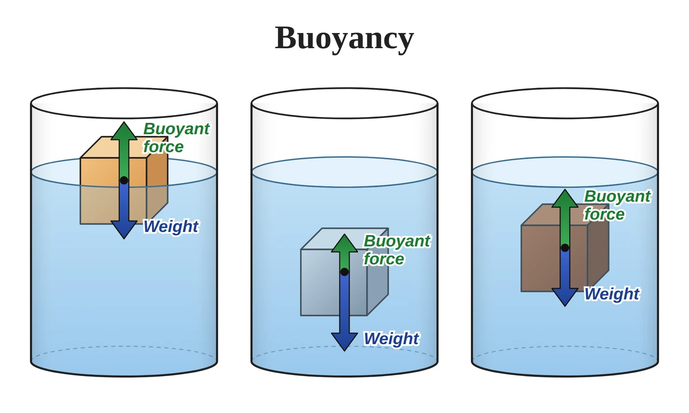 Buoyancy: a light wood cube floating (weight equals buoyant force), a metal cube sinking (weight greater than buoyant force), and a dark wood cube suspended (weight equals buoyant force)