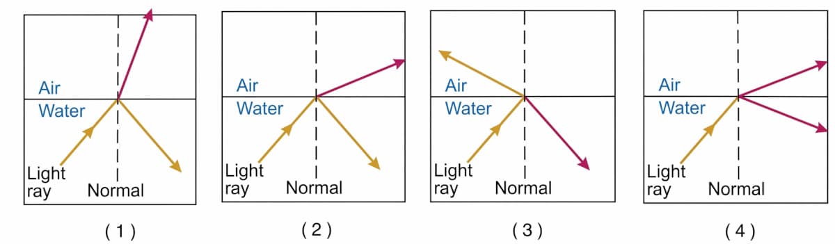 Dispersion lesson illustration