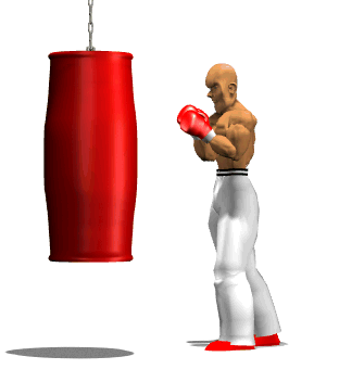 Kickboxer