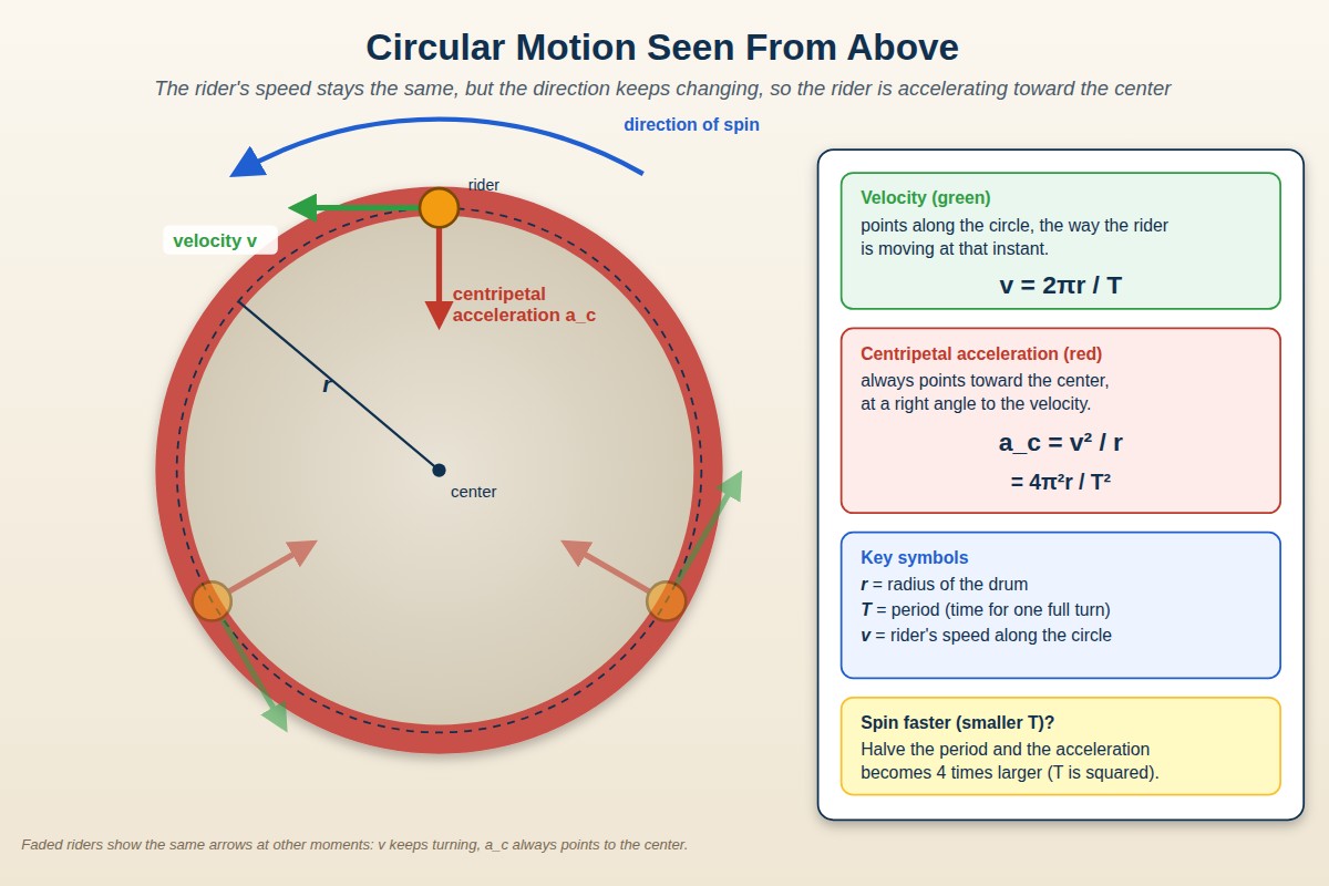 Top-down view of the spinning Gravitron: the rider's velocity points along the circle while the centripetal acceleration points toward the center, with v = 2 pi r over T and a_c = v squared over r